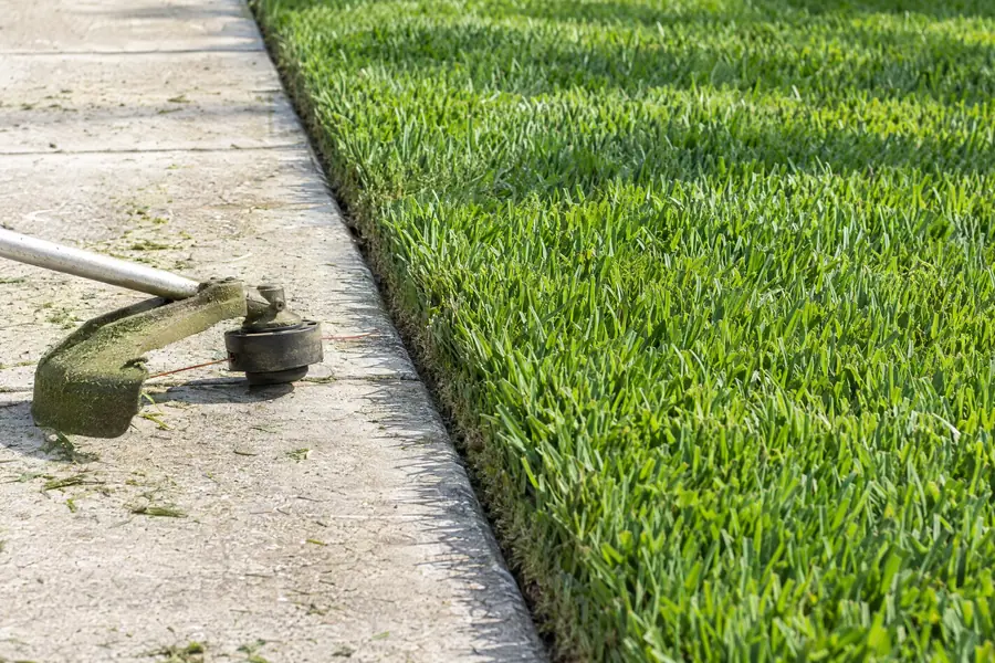 A crisp freshly cut lawn edge along a concrete walkway