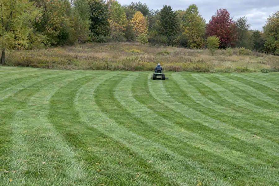 A large freshly mowed lawn with bold crisp mowing stripes